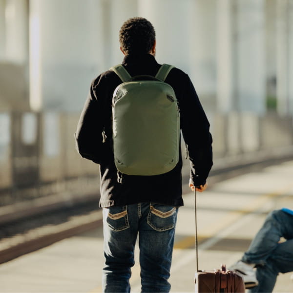 Peak Design Travel Backpack Sage