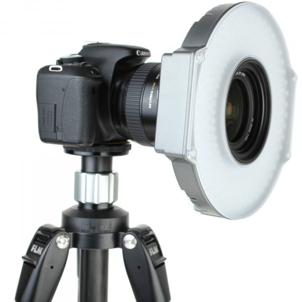 F&V LED-Ringleuchte R300S SE Bi-Color 3200 - 5600 Kelvin mit Objektivadapter 2074 Lux