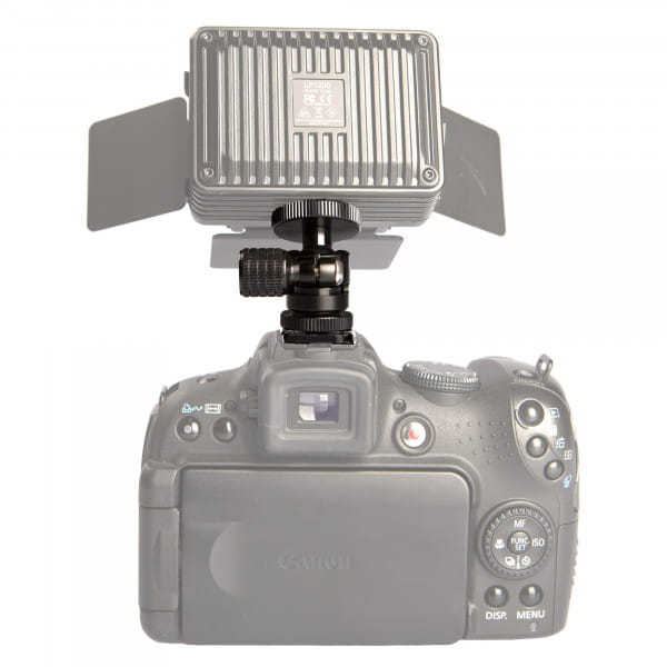 DÖRR Micro Kugelkopf DB-14 1/4" mit Blitzschuhadapter für Kamerazubehör bis 3 kg