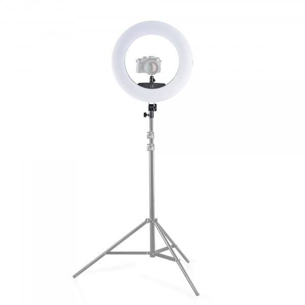Walimex pro LED Ringleuchte Medow 960 Pro Bi Color