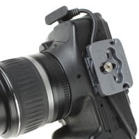 Spider Tether Cable Plate Arca-kompatible Kameraplatte mit integrierter Kabelführung zur Zugentlastu