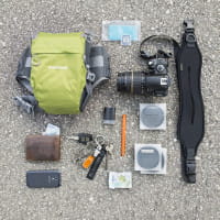 Mantona ElementsPro 10 Kamera-Hüfttasche grün für eine kleine DSLR- oder Systemkamera